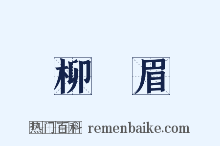 柳葉眉是什么意思的图片